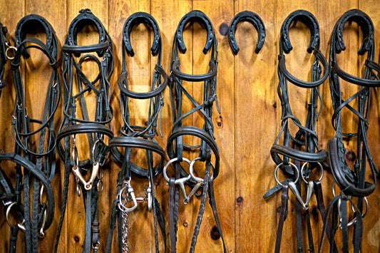 Organized horse tack