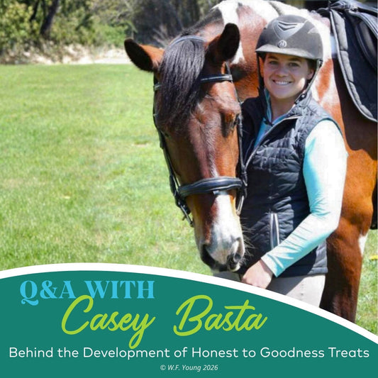 Honest To Goodness Horse Treats Q&A: Ingredients, Sustainability, and Care