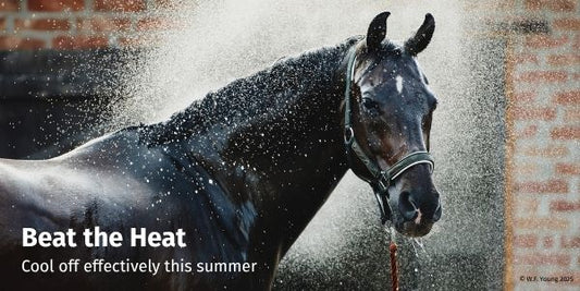 Beat the Heat - Ways To Cool Your Horse