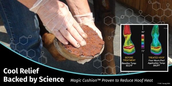 Cool Relief Backed by Science