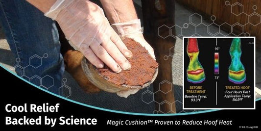 Cool Relief Backed by Science