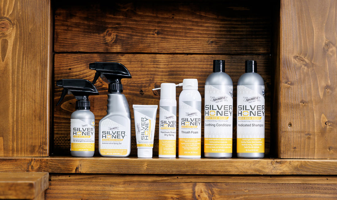 Silver Honey Wound Care
