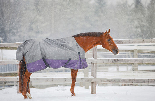 Maintaining Winter Weight