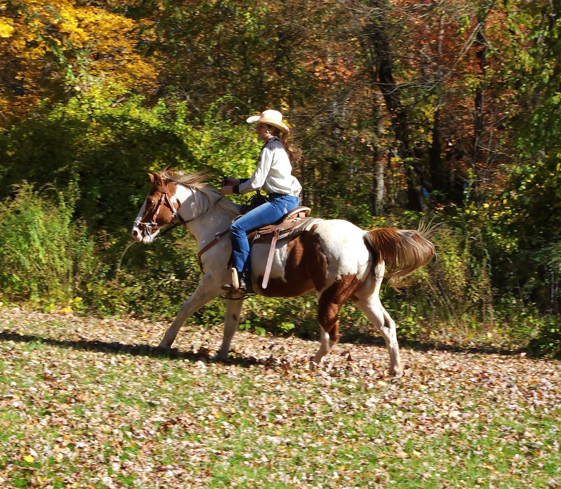 Woman in cowboy hat riding a horse in a field on the Absorbine Blog