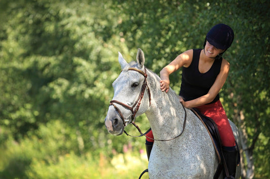 Too much sun exposure can give your horse a nasty burn