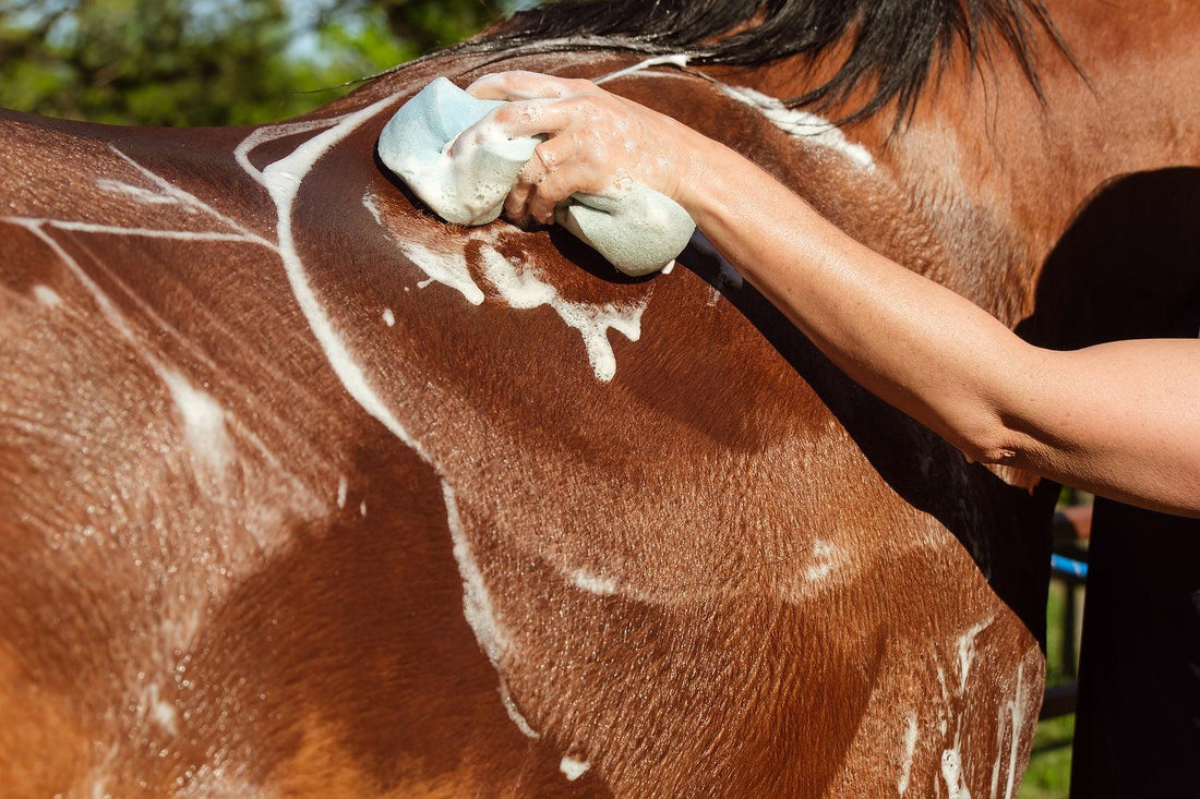 Better Bathing Tips