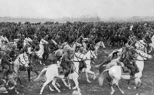 Brooke USA - Remembering The War Horses - Absorbine