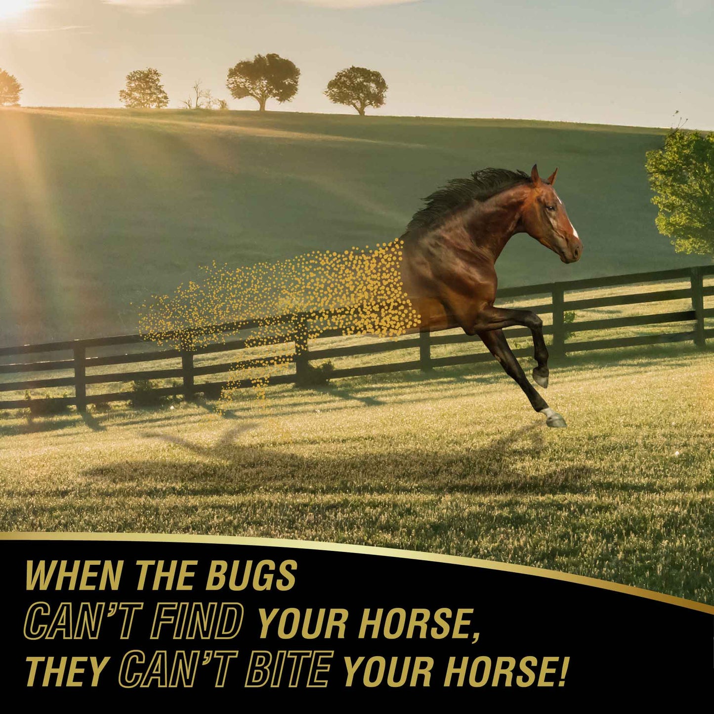 UltraShield® Gold Insecticide & Repellent