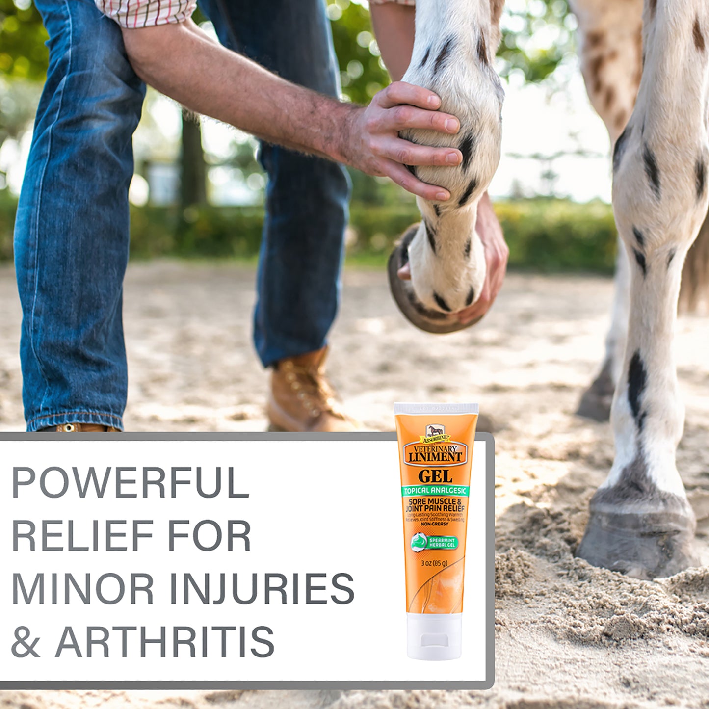 Man in blue jeans bending his horses leg. Absorbine Veterinary Gel powerful relief for minor injuries & athritis.