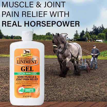 Absorbine® Veterinary Liniment Gel 12oz 2-pack