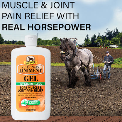 Absorbine® Veterinary Liniment Gel for Targeted Treatment of Sore Muscles