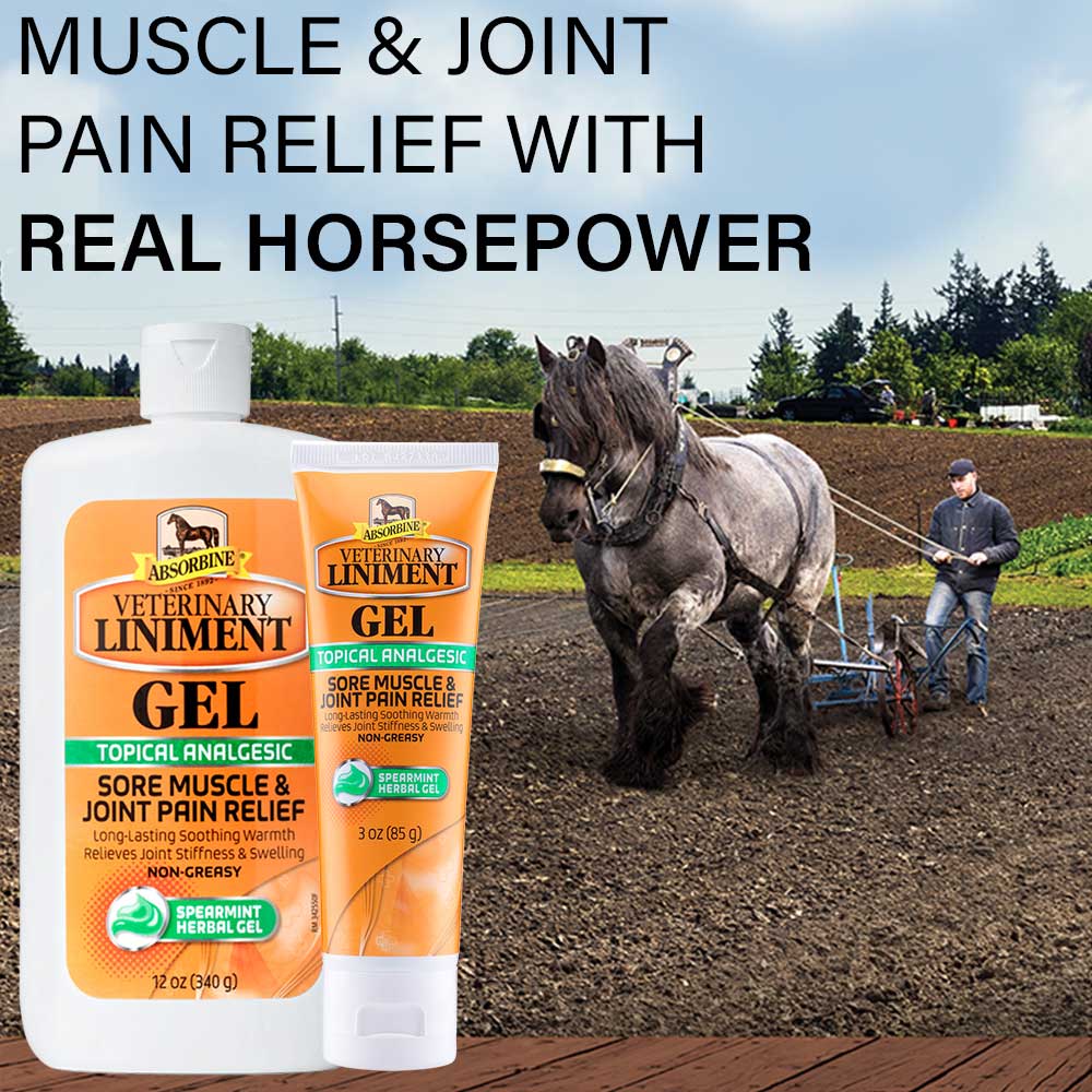 Absorbine® Veterinary Liniment Gel 3oz + 12oz Combo