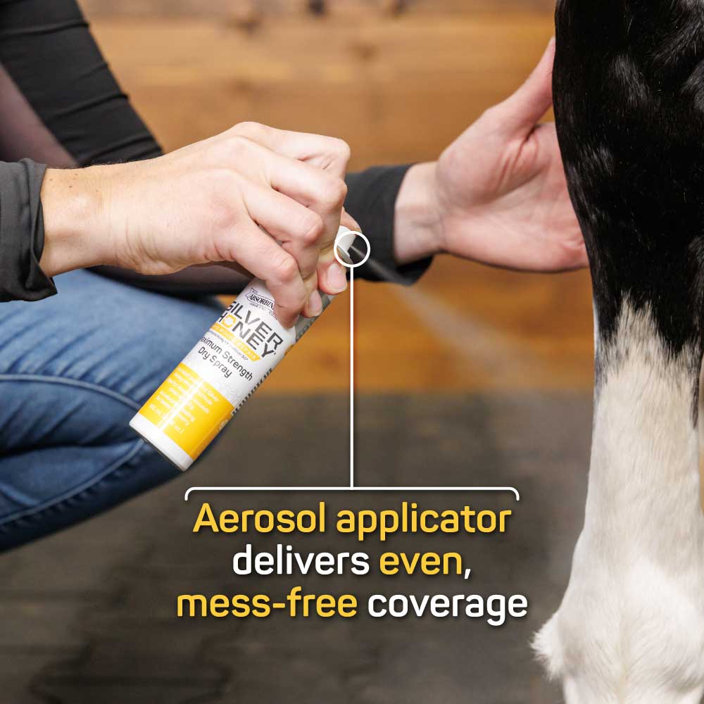 Silver Honey® Rapid Wound Repair Maximum Strength Dry Spray