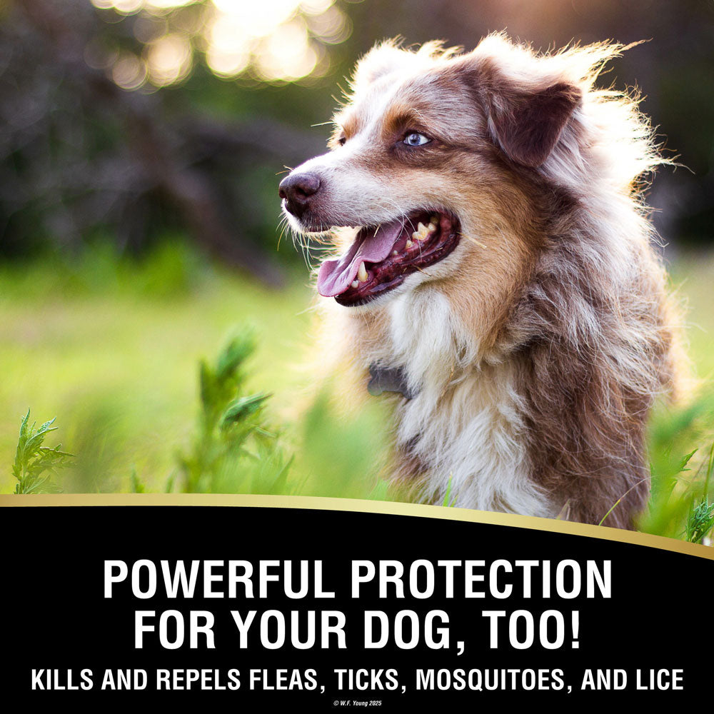 UltraShield® EX Insecticide & Repellent – Absorbine