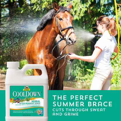 CoolDown® After Workout Rinse Concentrate