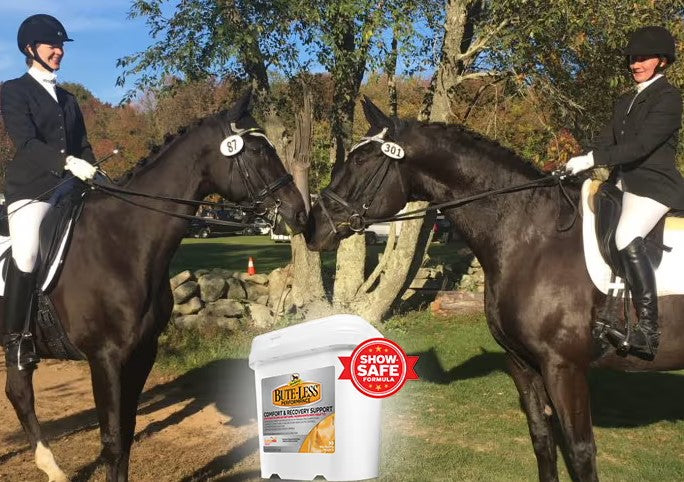 Bute-Less® Performance – What We Love