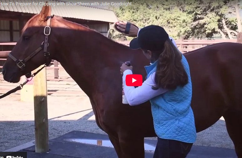 How to Prepare for Clipping with ShowSheen® with Julie Goodnight