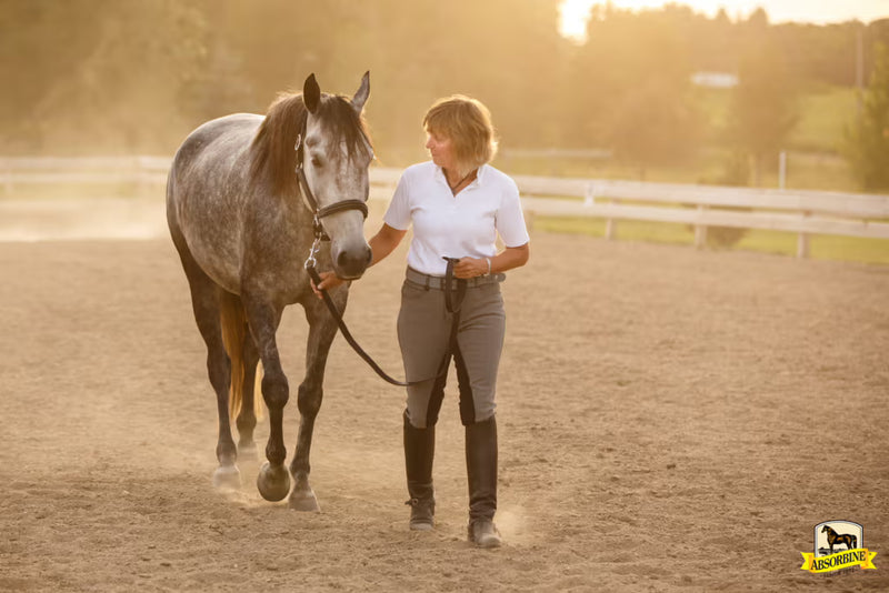 How To Compare Fly Spray