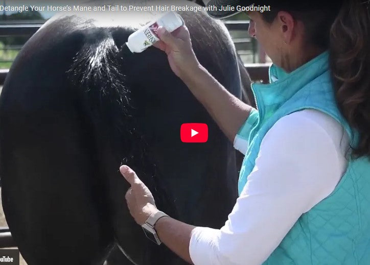 How to Detangle your Horse's Mane and Tail with Julie Goodnight