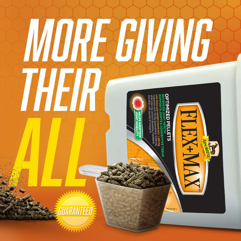 Flex+Max® Joint Health Supplement