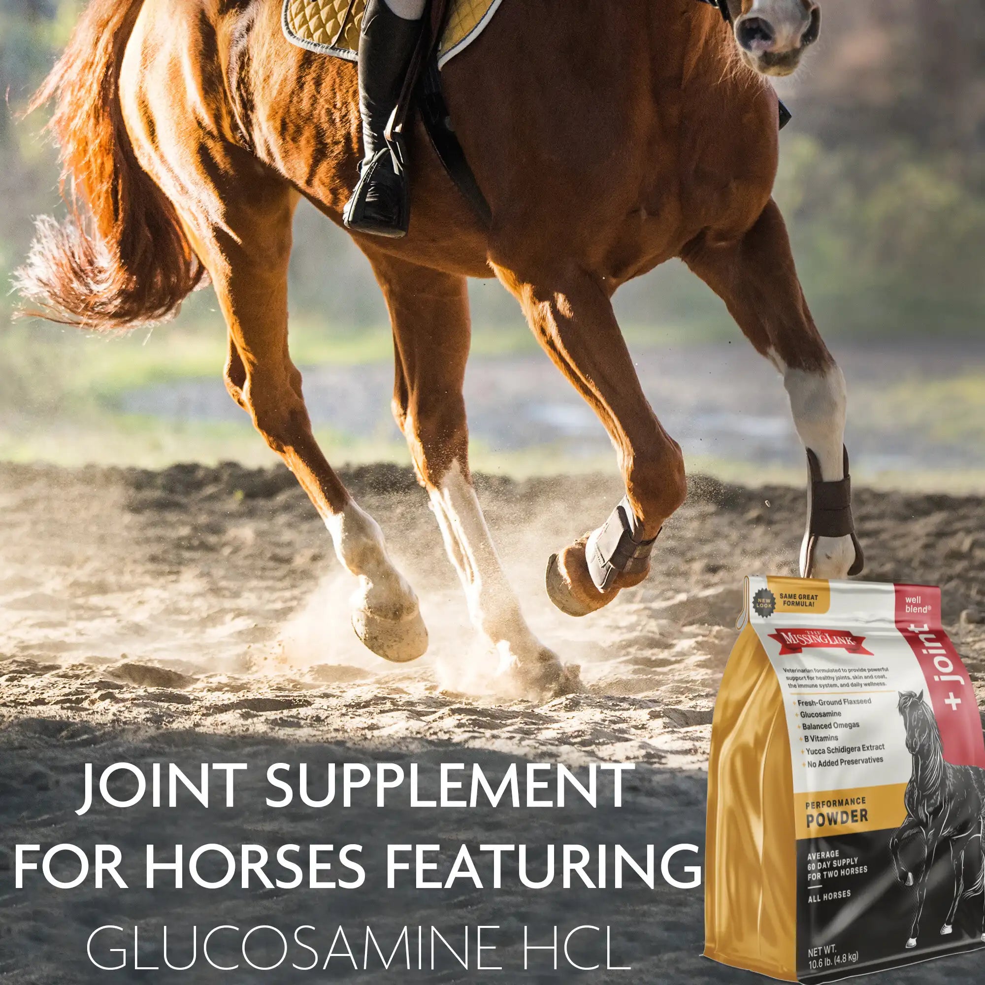 Horse riding around range with a bag of The Missing Link Well Blend + Joint performance joint supplement for horses featuring glucosamine HCL on the bottom right corner.