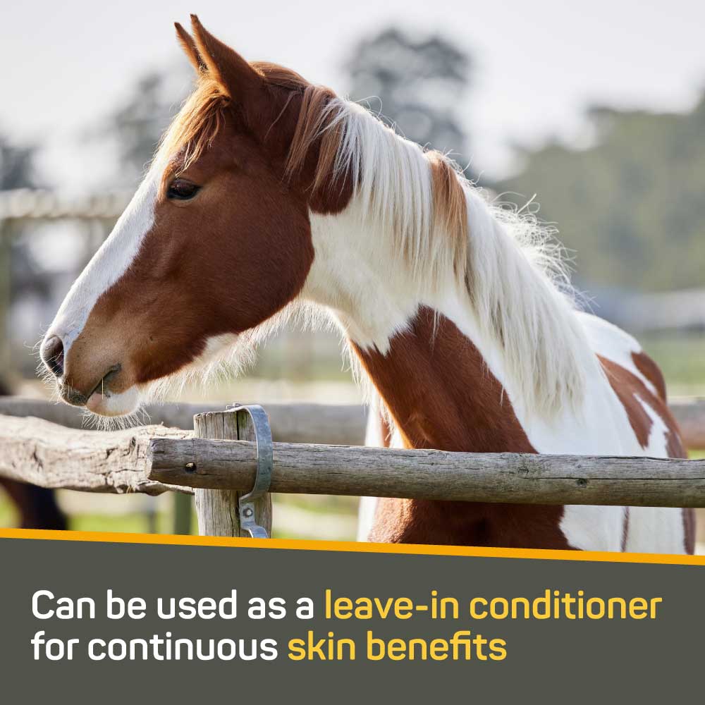 Silver Honey® Rapid Skin Relief Soothing Conditioner