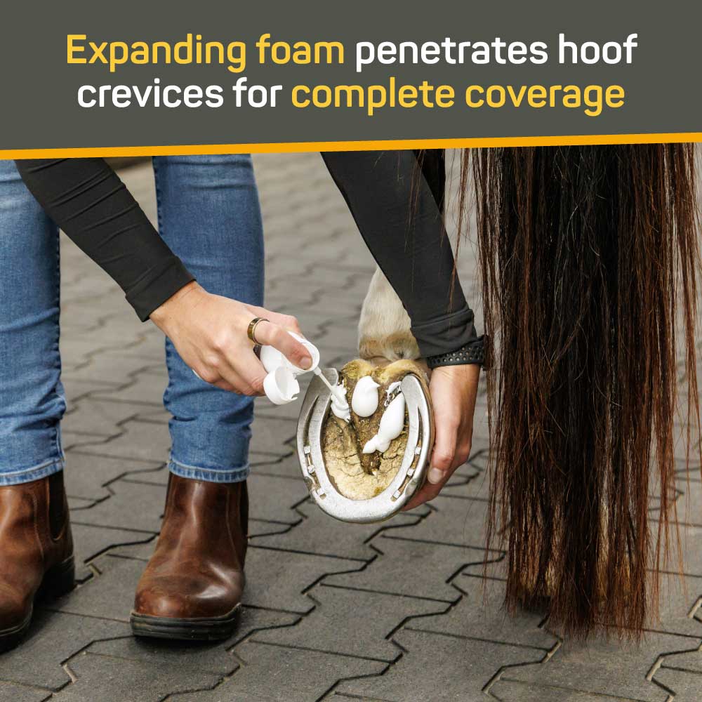 Silver Honey® Rapid Hoof Care Thrush Foam