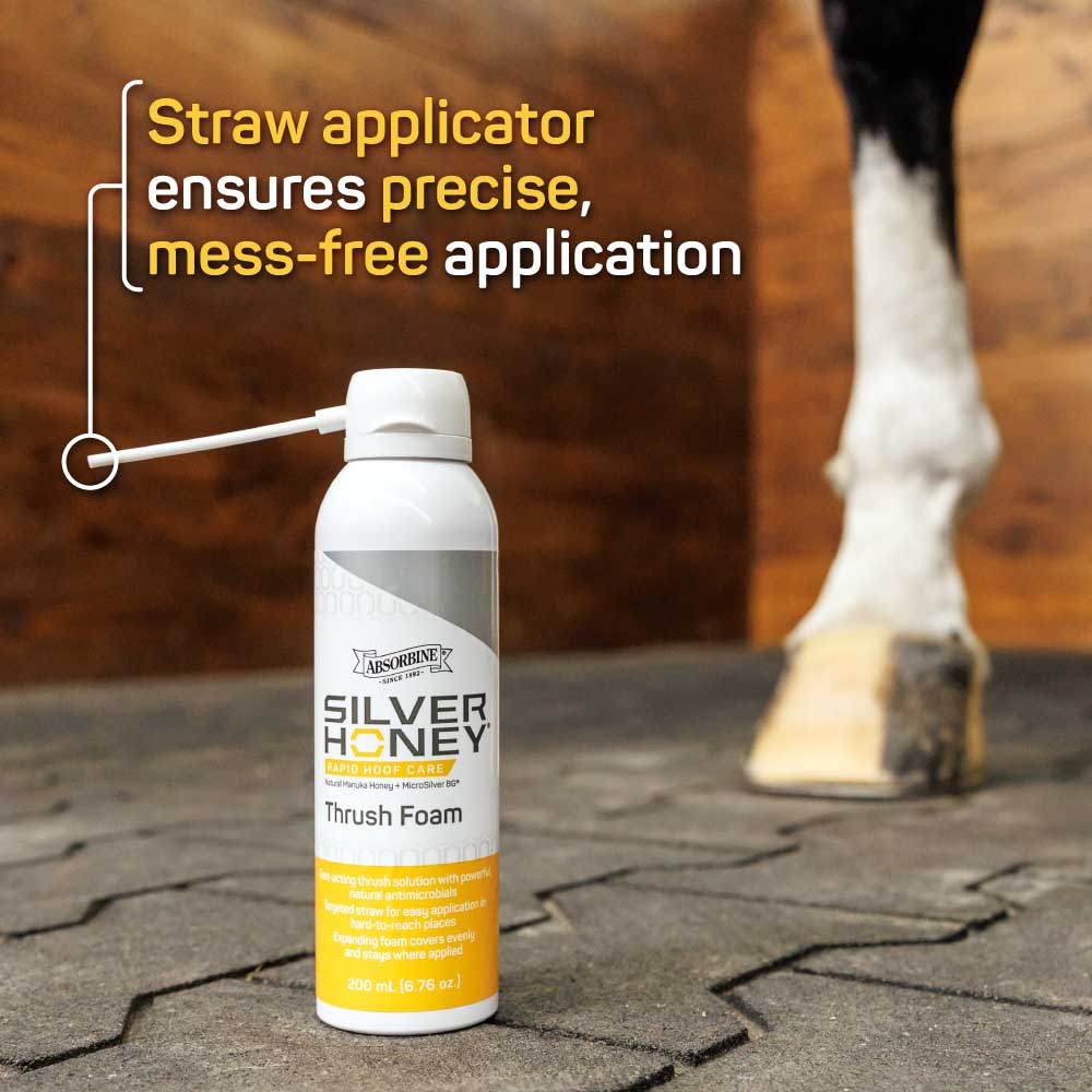Silver Honey® Rapid Hoof Care Thrush Foam