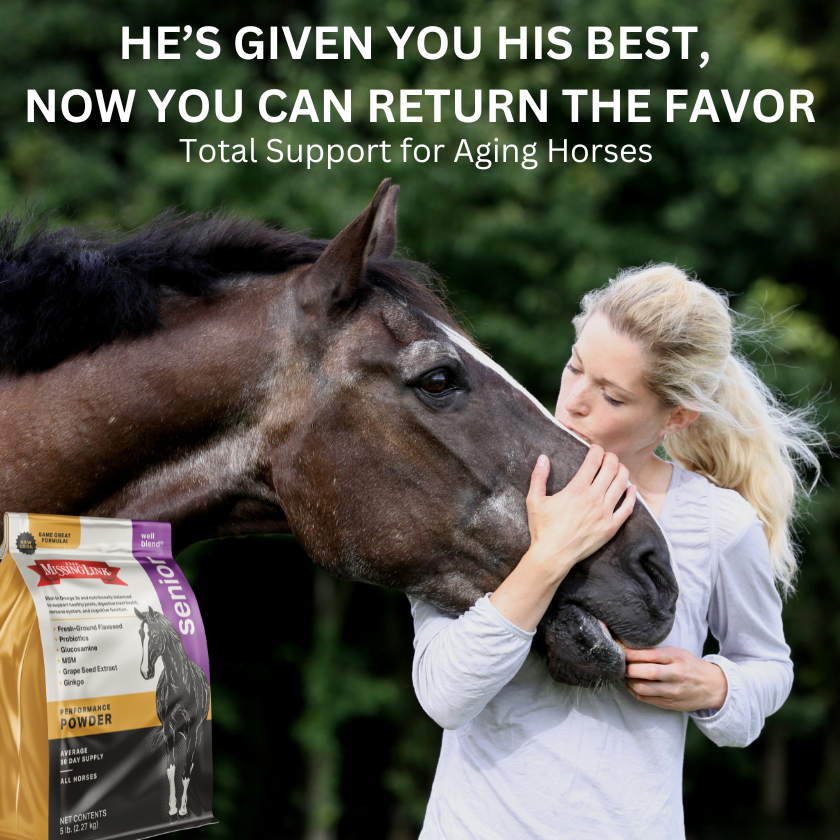 Blond woman in a long sleeved white shirt kissing the nose of a senior horse.  The Missing Link Senior Performance Powder, new look, same great formula.