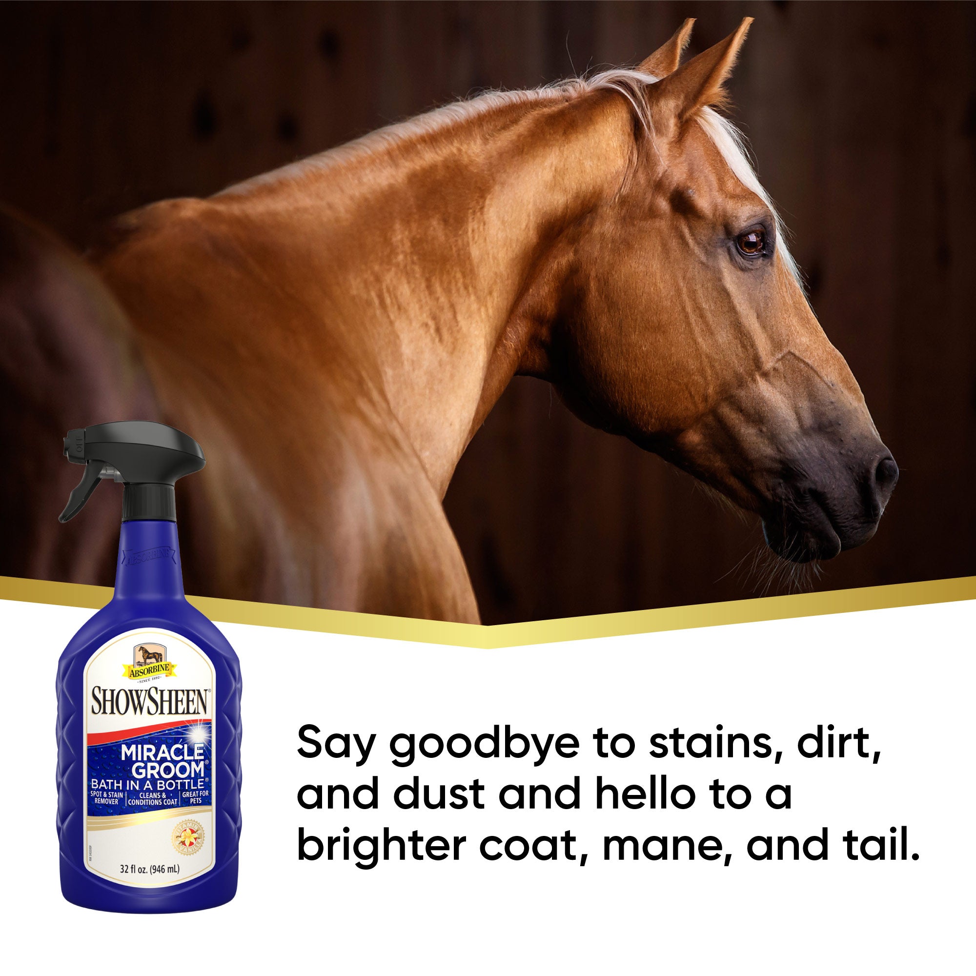Beautiful brown horse, gold banner with white background and a bottle of blue Showsheen Miracle Groom Bath in a Bottle.  Say goodbye to stains, dirt, and dust and hello to a brighter coat, mane and tail.