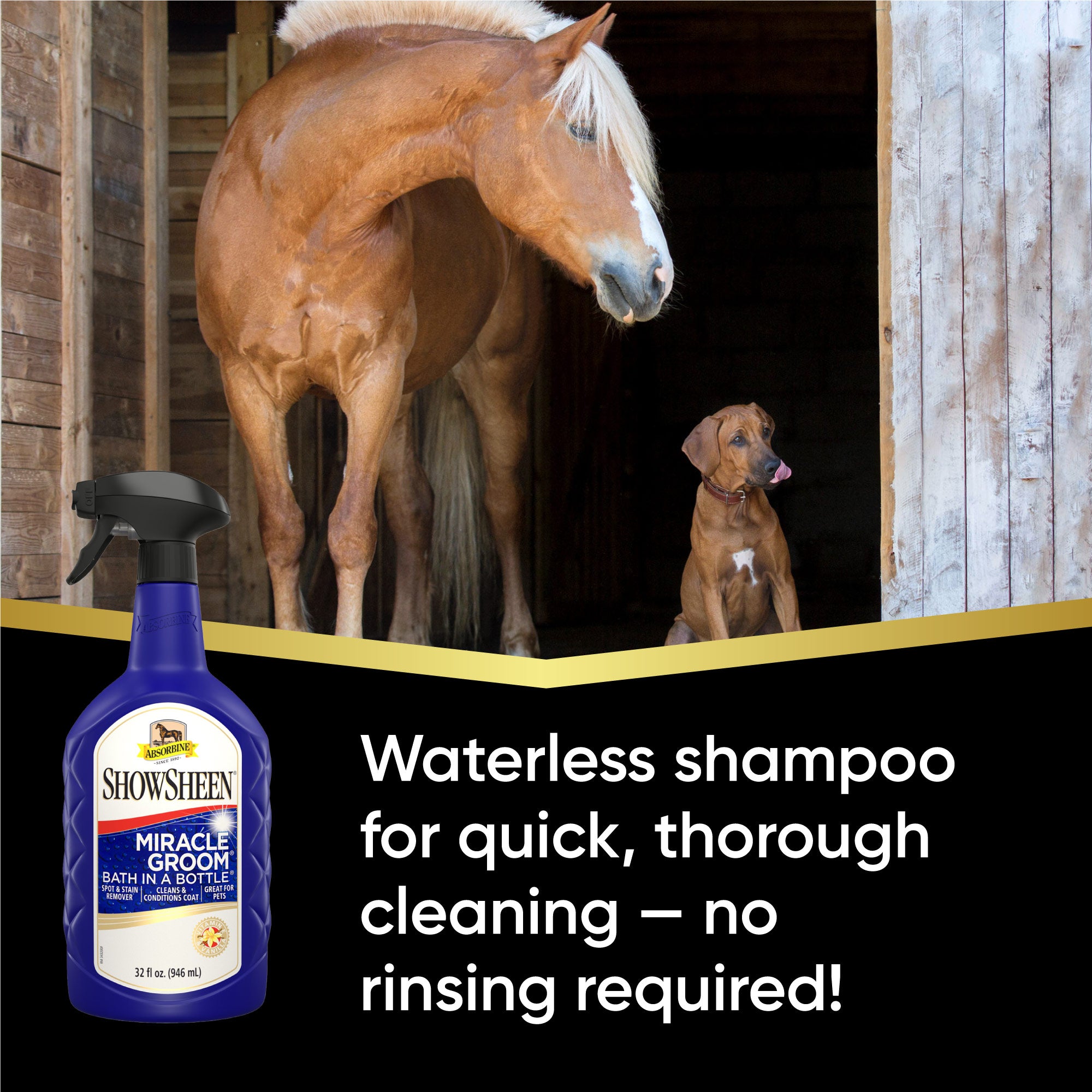 Chestnut brown horse with a tan mane, standing next to a dog in a barn doorway.  Showsheen Miracle Groom Bath in a Bottle.  Waterless shampoo for quick, thorough cleaning - no rinsing required!