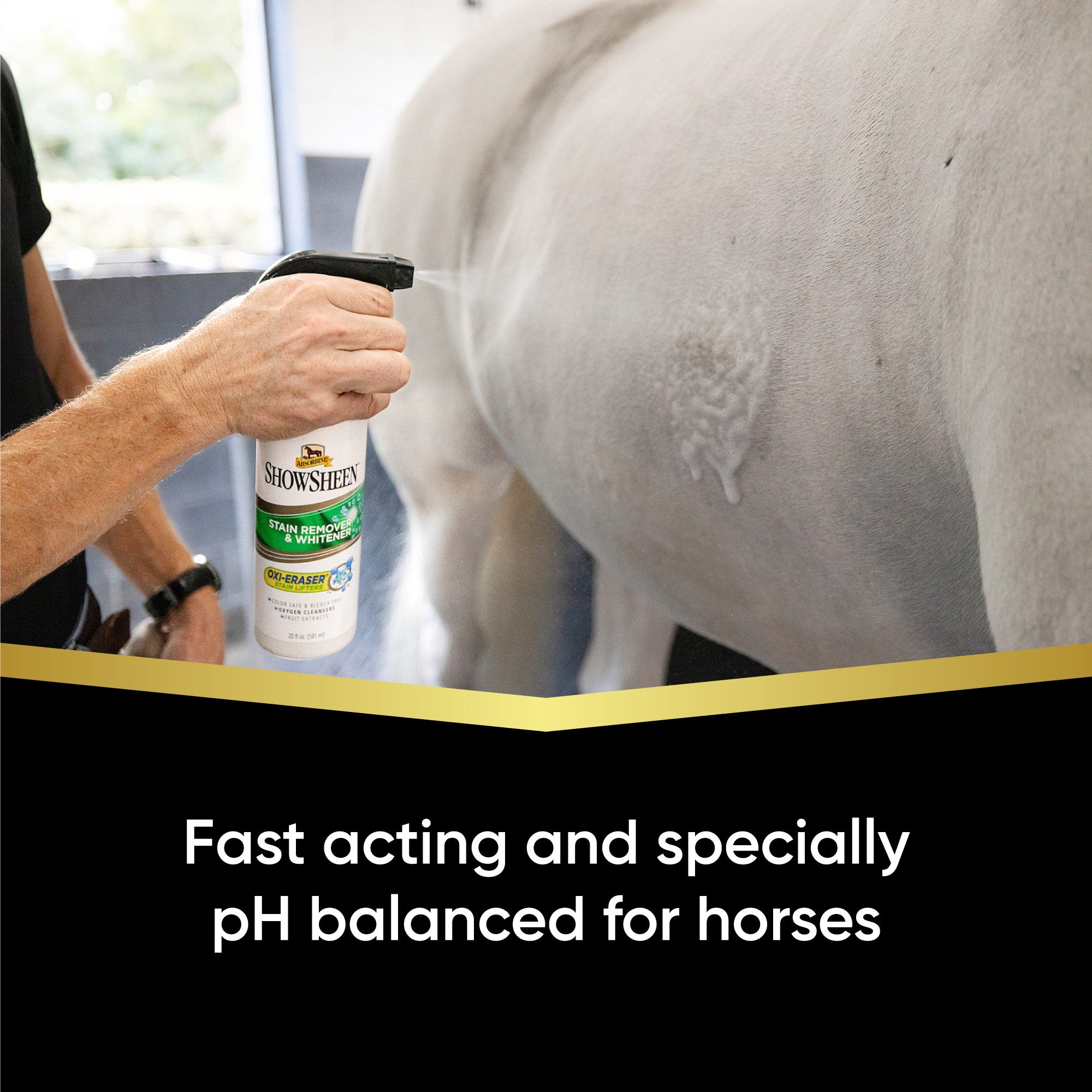 Man spraying Showsheen Stain Remover and Whitener onto the side of a white horse.  Fast acting and specially pH balanced for horses.