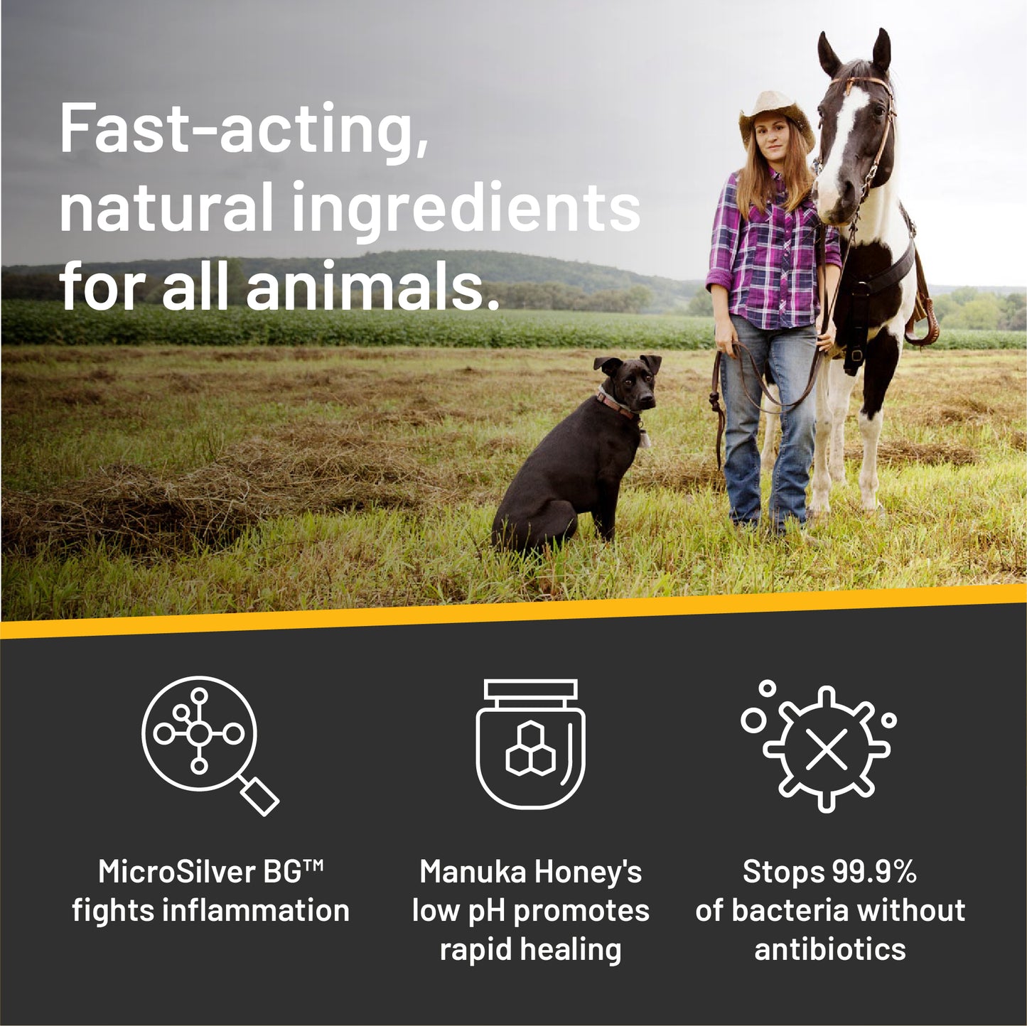 Woman standing in a field with her horse to the right and her dog to the left. Silver honey fast acting ingredients for all animals.