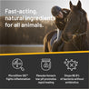 Woman in riding helmet on the back of a dark brown horse with the caption "Fast-acting, natural ingredients for all animals.  Microsilver BG fights inflammation, manuka honey's low pH promotes rapid healing.  Stops 99.9 percent of bacterial without antibiotics.