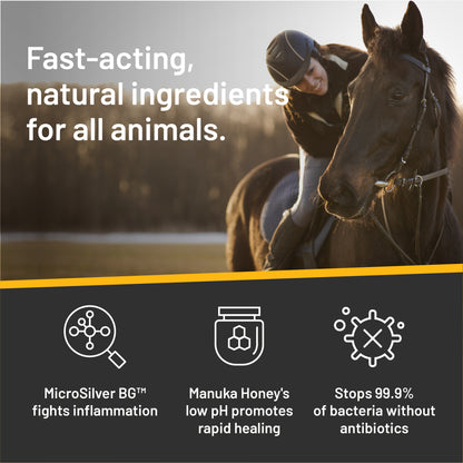 Silver Honey fast acting, natural ingredients for all animals. A woman riding her horse in a field. 
