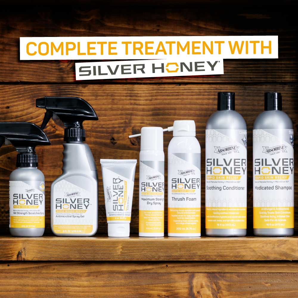 Silver Honey Rapid Wound Repair Maximum Strength Dry Spray