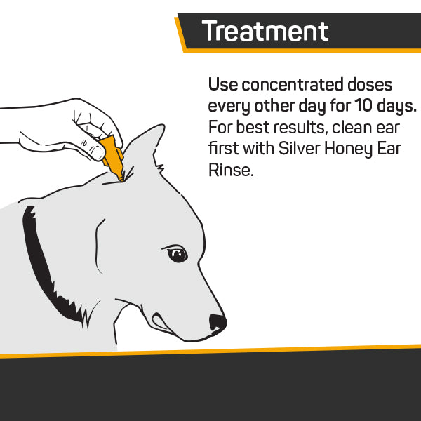 Silver Honey vet strength concentrated doses treatment.  Use concentrated doses every other day for 10 days.  For best results, clean ear first with Silver Honey Ear Rinse, let the animal shake her head, then apply doses to inner ear.  Caricature of man squeezing ear care dose into dogs inner ear.