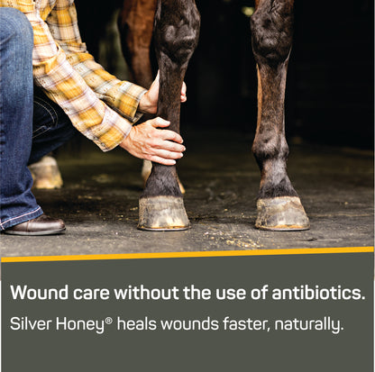 Silver Honey® Rapid Wound Repair Ointment + Spray Gel Combo