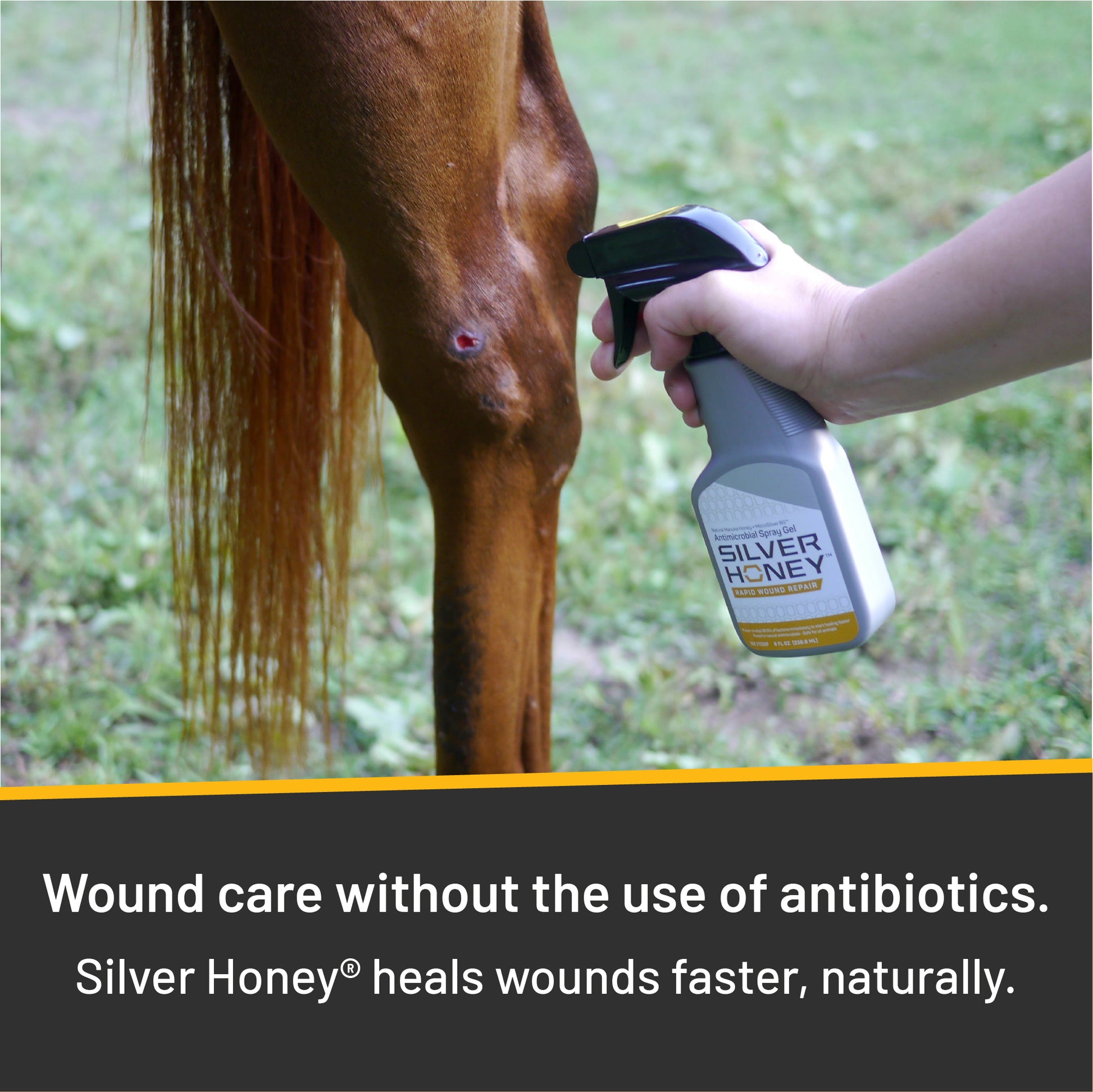 Silver honey spray gel, wound care without the use of antibiotics.  Silver honey heals wounds faster, naturally.