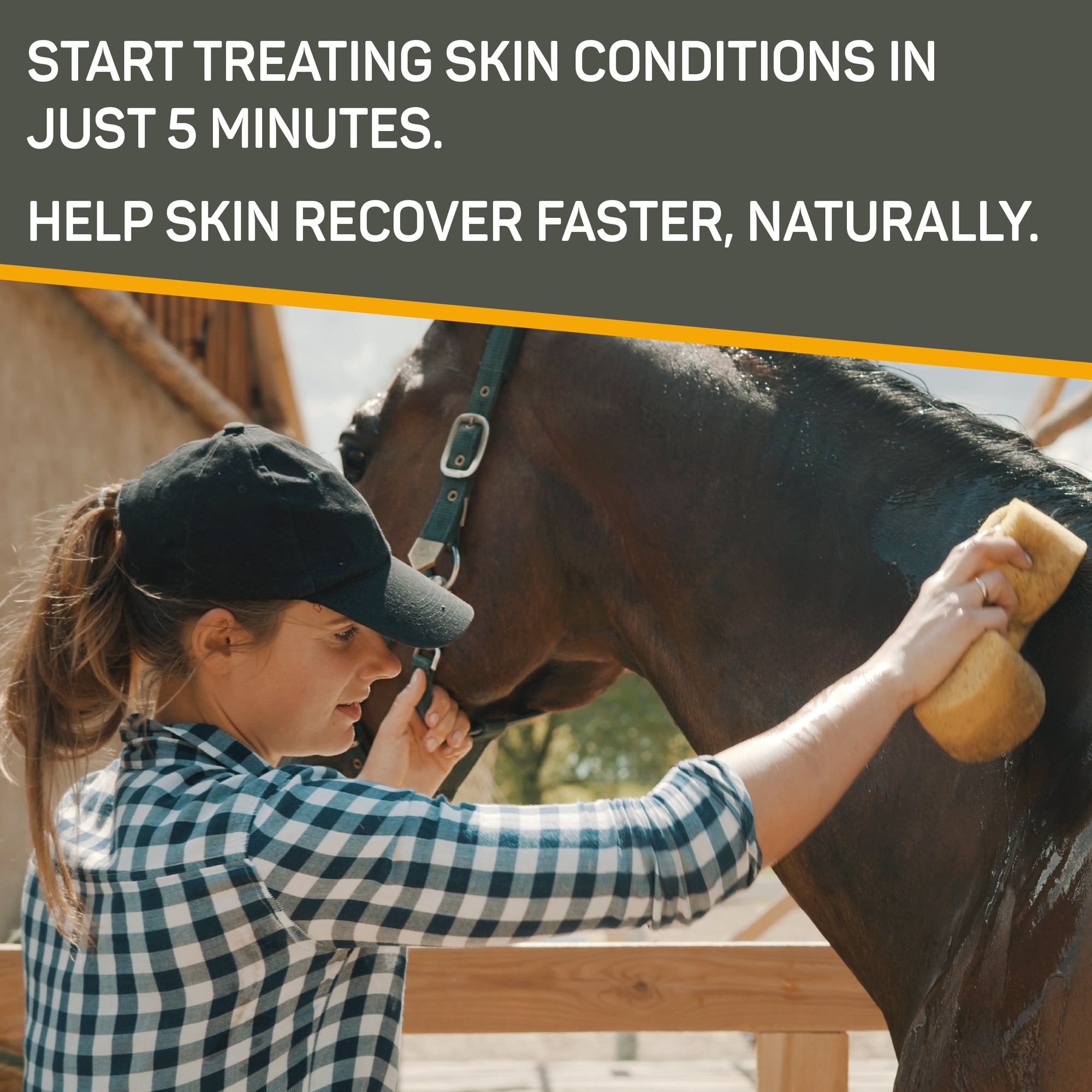 Woman in a black hat, and flannel shirt sponge bathing her horses neck.  Start treating skin conditions in just 5 minutes.  Helps skin recover faster, naturally.