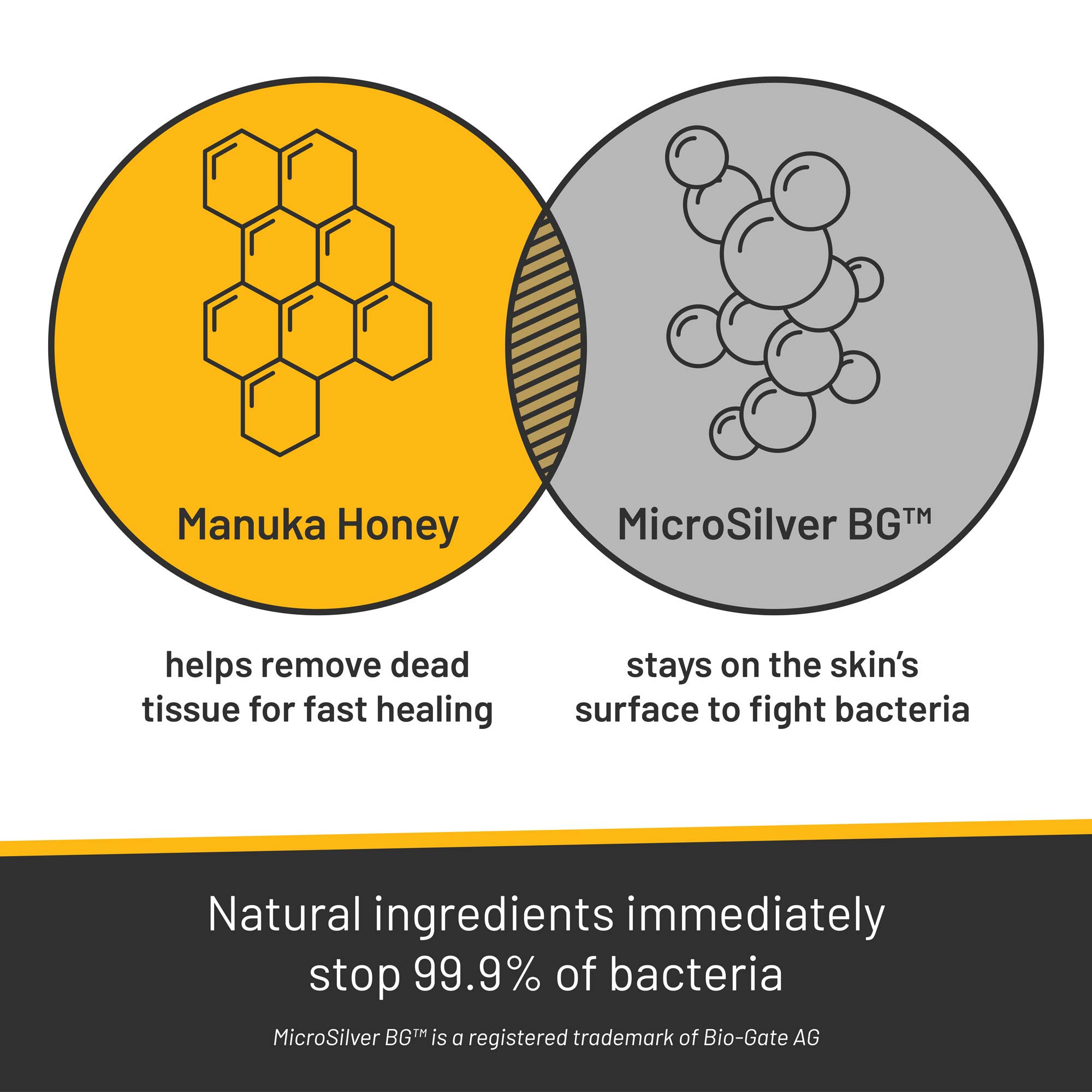 Silver Honey Venn diagram Manuka Honey circle overlapping MicroSilver BG circle. Manuka honey helps remove dead tissue for fast healing. MicroSilver BG stays on the skin's surface to fight bacteria.  Natural ingredients immediately stop 99.9% of bacteria.