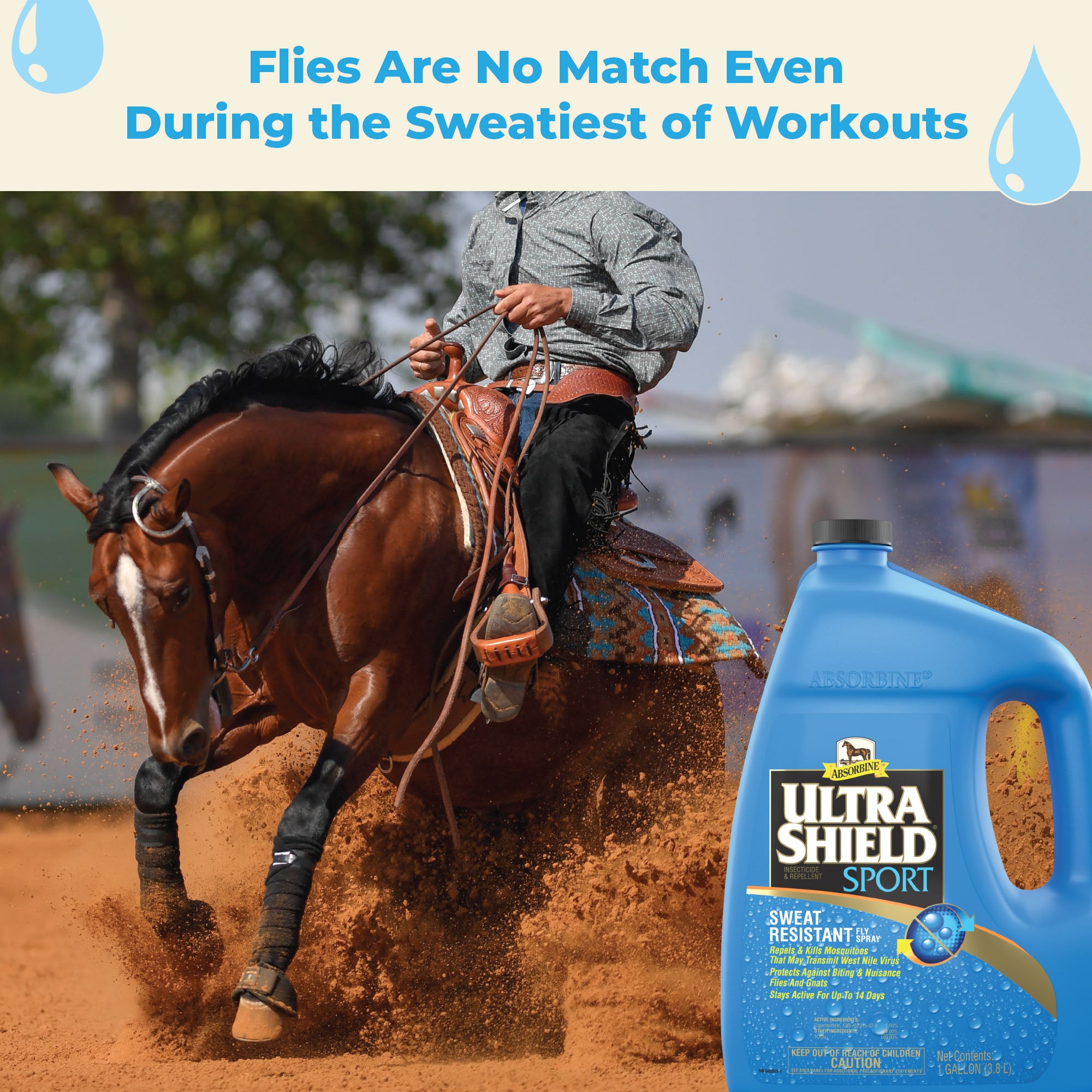 Flies are not match even during the sweatiest of workouts.  Western rider, cowboy on a chestnut colored horse that has been sprayed for fly protection with UltraShield® Sport.