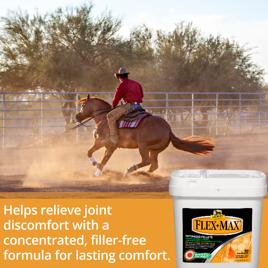 Flex+Max and Bute-Less Combo Pack