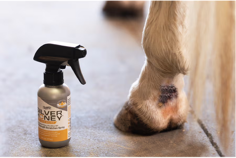 Honey and Silver for Wound Care