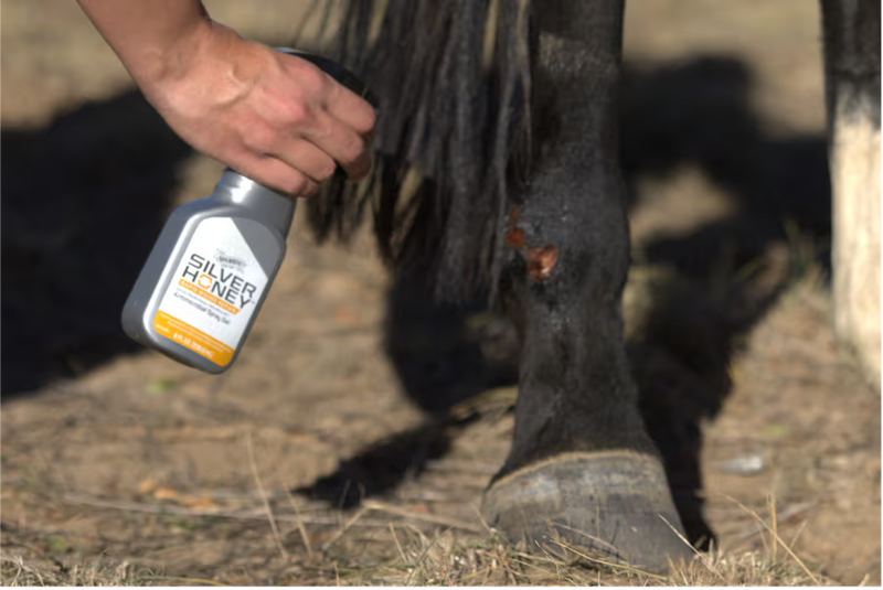 Equine Field Trial of Silver Honey®