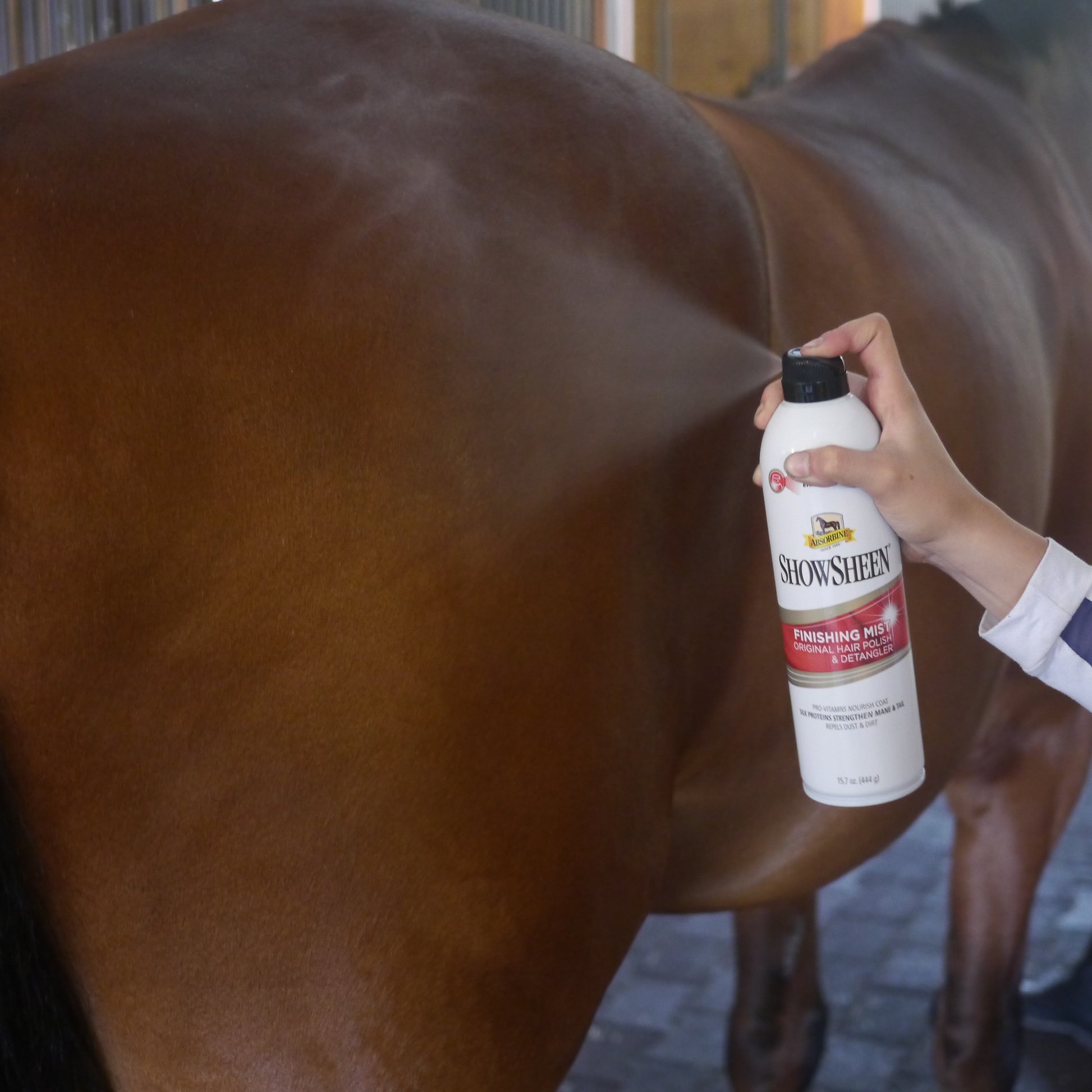 Beautiful chestnut colored horse's hind leg being prayed with ShowSheen finishing mist.