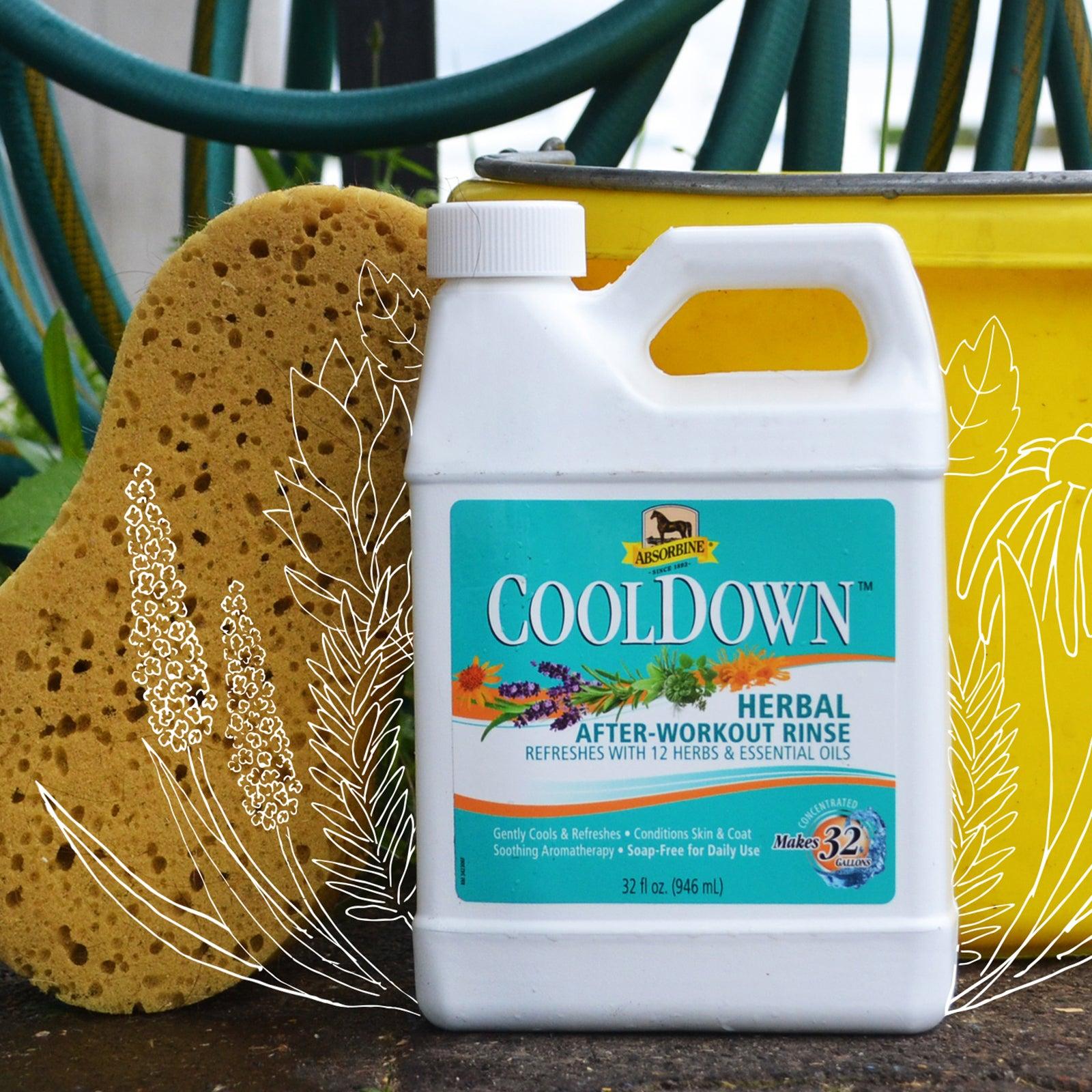 Picture of a bucket, a sponge, and Absorbine's CoolDown