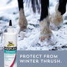 Horse's hoofs and legs walking through the snow, "Protect from winter thrush". Hooflex Thrush Remedy, bacterial + fungicidal. Helps promote healthy tissue growth. Kills and prevents bacterial and fungus. No sting, no stain 12 ounce fluid bottle.