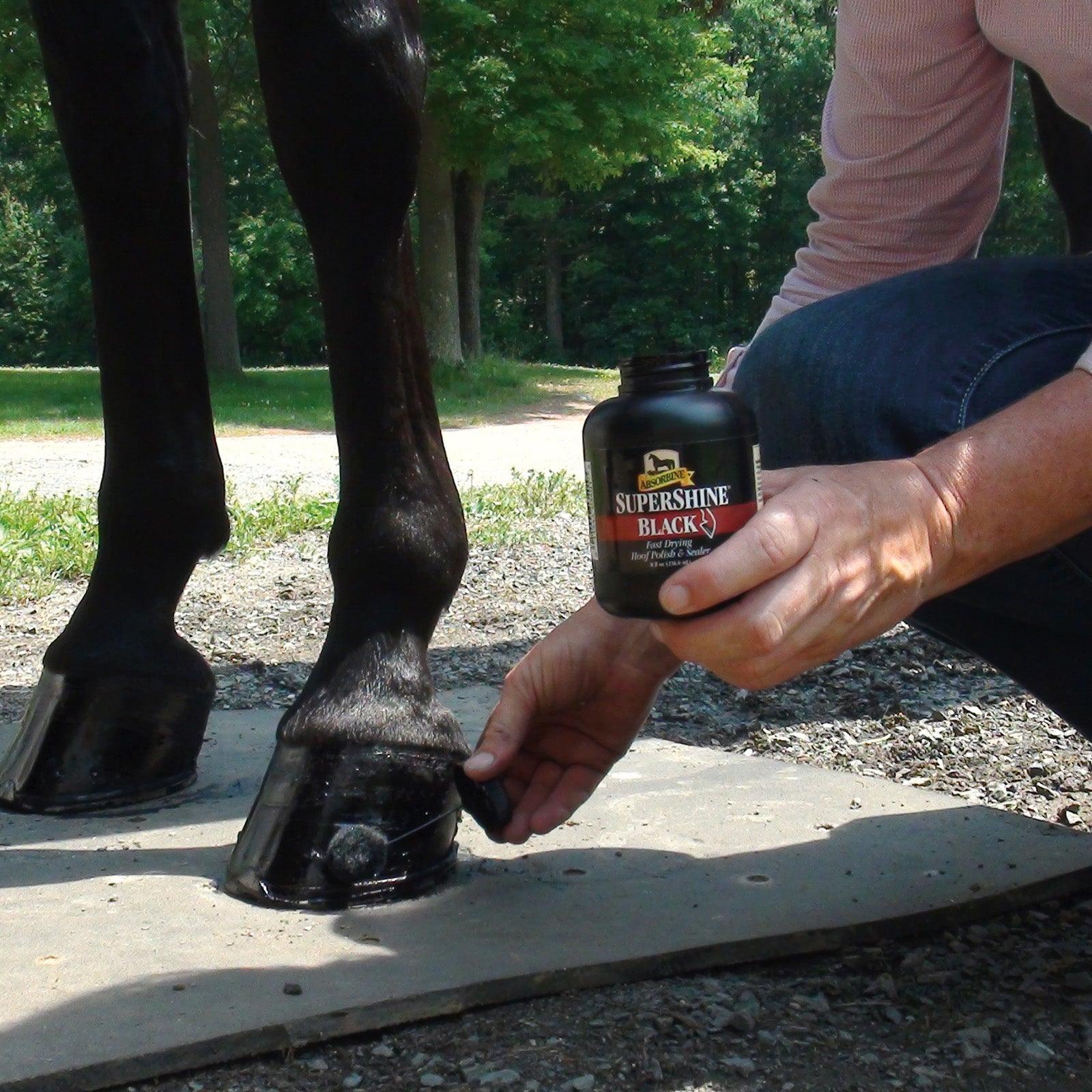 Man applying SuperShine Black to a horses hoofs with the application dobber.