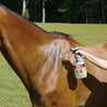 Woman's arm holding a bottle of 32 oz. Flys-X insecticide.  She is spraying the Flys-X insecticide on the horses neck and shoulders.